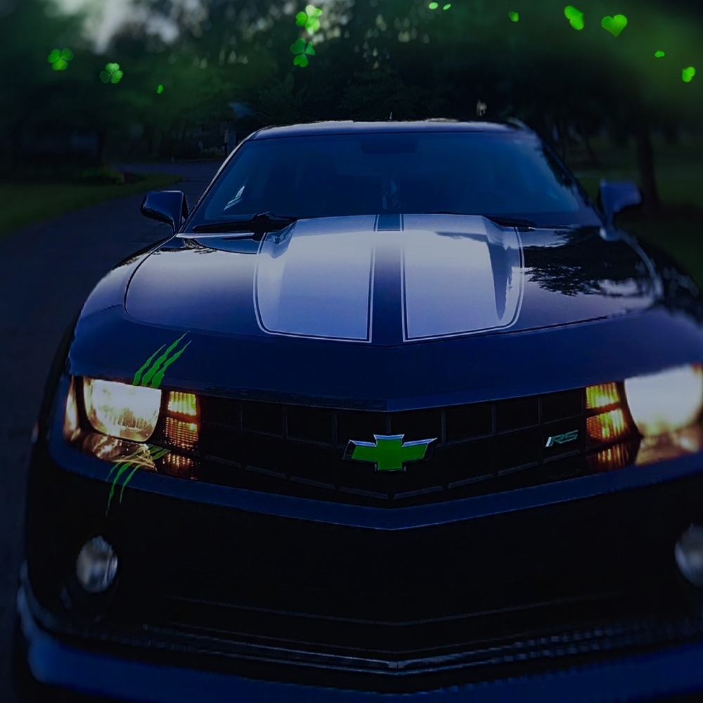 Meet your Posher, Ricky - Picture 4 of 4